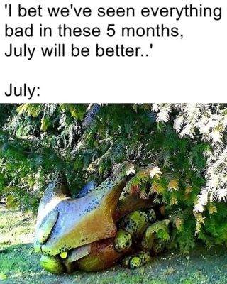 c56d6628-c636-4e0d-a565-6f1ac47d35ed.jpg