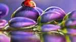 images-142.jpg